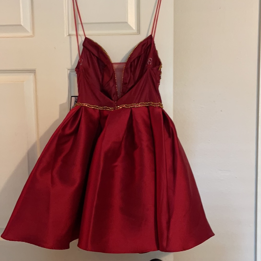 Bee Darlin party/ prom dress - Picture 2 of 4